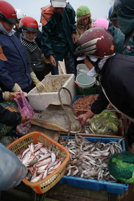 Morgens auf dem Fischmarkt in der Gemeinde Giao Hai in Nam Dinh - ảnh 2