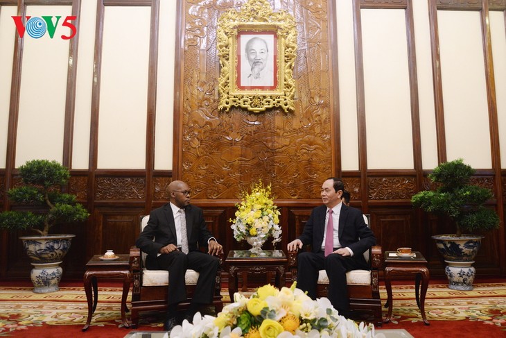 Staatspräsident Tran Dai Quang empfängt die neuen Botschafter - ảnh 3