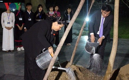 Vize-Parlamentspräsidentin Tong Thi Phong besucht die Bergprovinz Dien Bien - ảnh 1