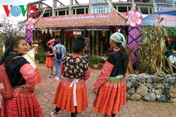 Die Kultur- und Tourismuswoche der Provinz Son La - ảnh 1