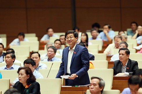 Die Erneuerung in der Fragestunde des Parlaments überzeugt die Bürger - ảnh 1