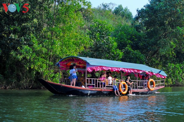 Tee-Insel Thanh Chuong zieht zum Tet-fest Touristen an - ảnh 3