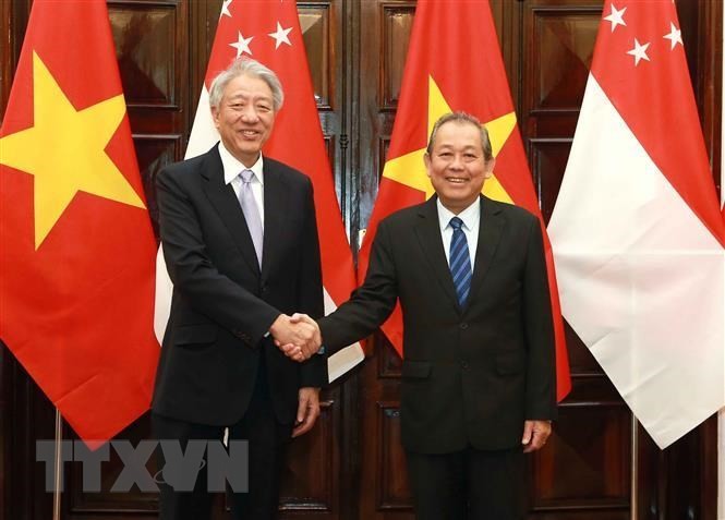 Verstärkung der strategischen Partnerschaft zwischen Vietnam und Singapur  - ảnh 1