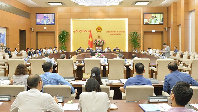 Der Parlamentsausschuss berät das geänderte Gesetz für Versicherungsgeschäft und das Gesetz für geistiges Eigentum - ảnh 1