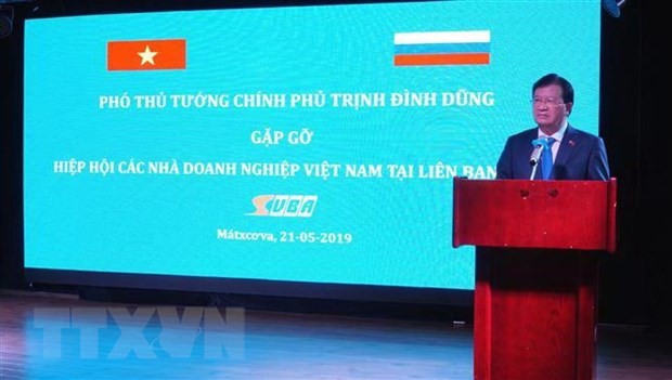 Umsetzung des Vietnam-Jahres und des Russland-Jahres - ảnh 1