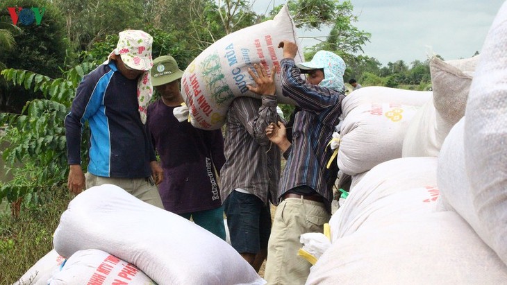Mekong-Delta garantiert die nationale Lebensmittelsicherheit - ảnh 2