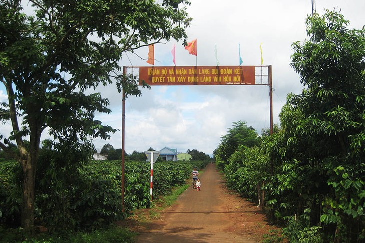 Plei Bui – das vorbildliche ländliche Dorf in Provinz Gia Lai - ảnh 1