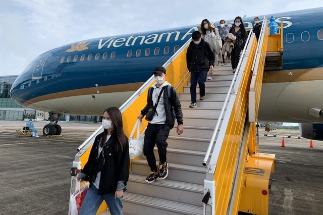 Rückholflüge für Vietnamesen aus verschiedenen Ländern - ảnh 1