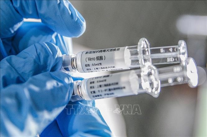 China ist bereits mit ASEAN, bei Entwicklung des Covid-19-Impfstoffes zu kooperieren - ảnh 1