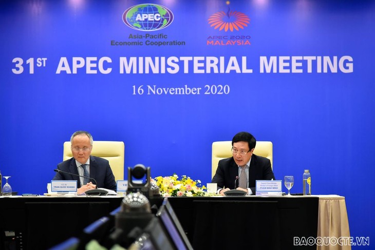 Vietnam unterstützt die Verabschiedung der Erklärung der APEC-Länder über die Vision nach 2020 - ảnh 1