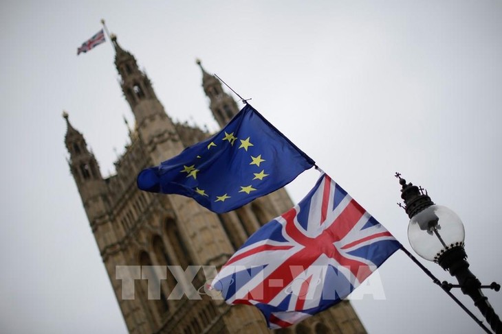 Die Handelsverhandlung zwischen der EU und Großbritannien konnte die Meinungsverschiedenheit bislang nicht lösen - ảnh 1