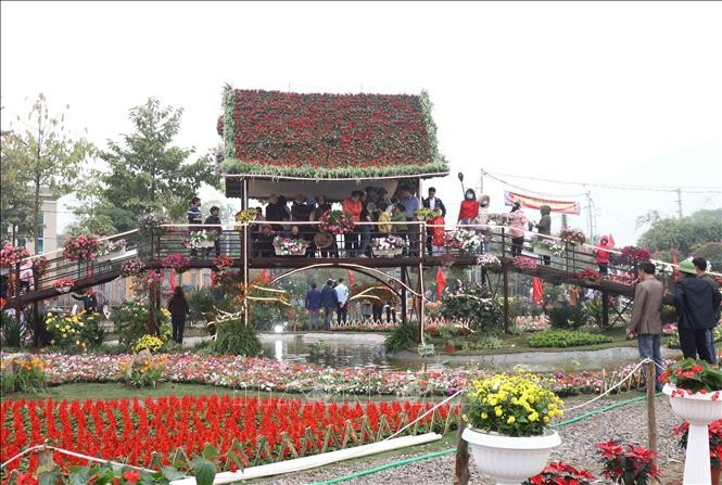 Fest im größten Blumenanbaugebiet in Nordvietnam - ảnh 1