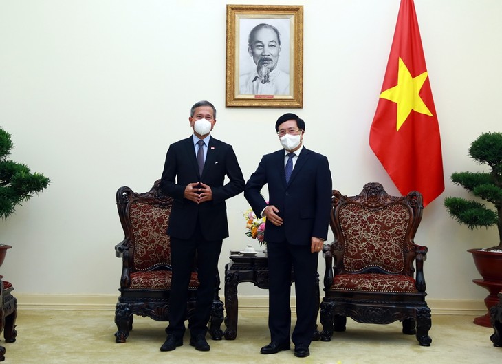 Vietnam und Singapur verstärken die Kooperation in Mekong-Subregion - ảnh 1