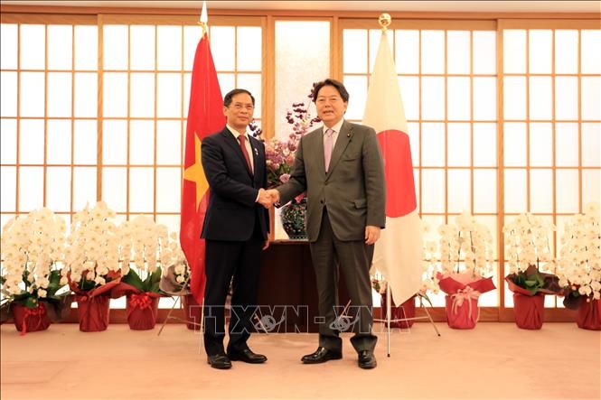 Gespräch der Außenminister zwischen Vietnam und Japan - ảnh 1