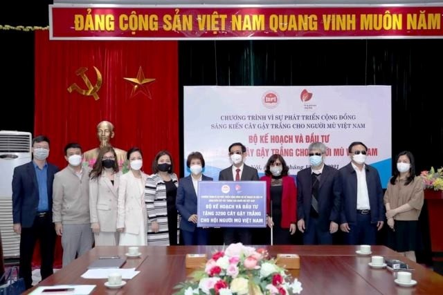 3000 weiße Stöcke an Sehbehindertenverband Vietnams überreicht - ảnh 1