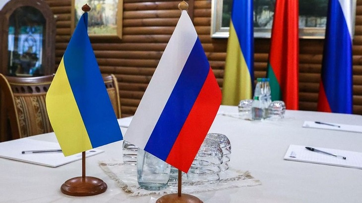 Russlands Delegation ist für die Verhandlung mit der Ukraine in der Türkei eingetroffen - ảnh 1