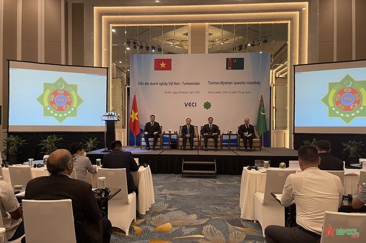 Verstärkung der Zusammenarbeit zwischen Vietnam und Turkmenistan - ảnh 1