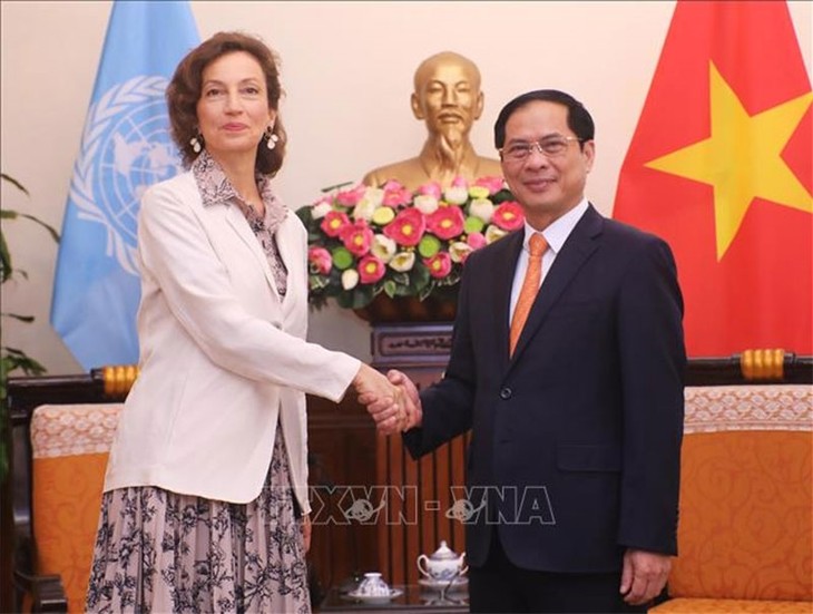 Vietnam wird weiterhin aktives und verantwortungsvolles Mitglied von UNESCO sein - ảnh 1