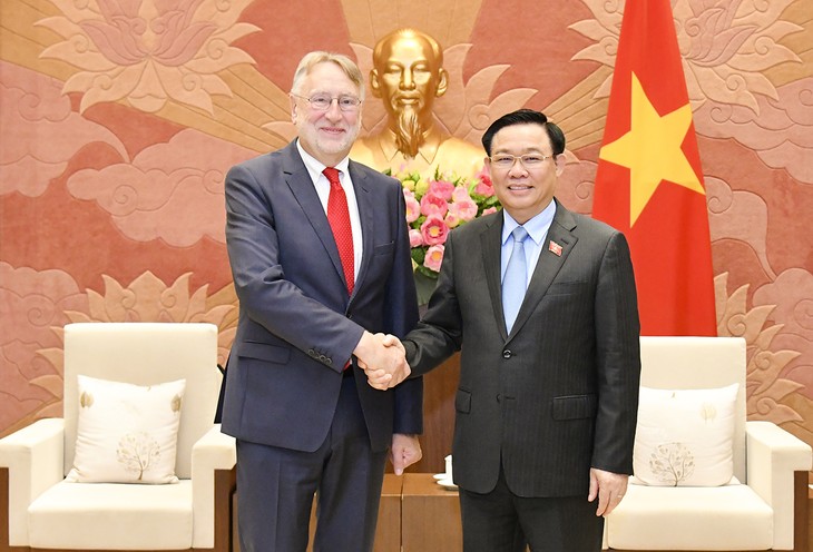 EU ist bereits, Vietnam in internationalen Organisationen zu unterstützen - ảnh 1