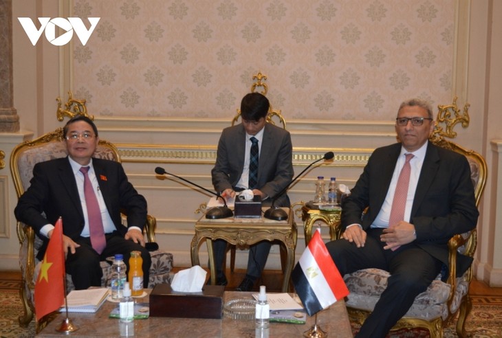 Vietnam und Ägypten verstärken die parlamentarische Zusammenarbeit - ảnh 1