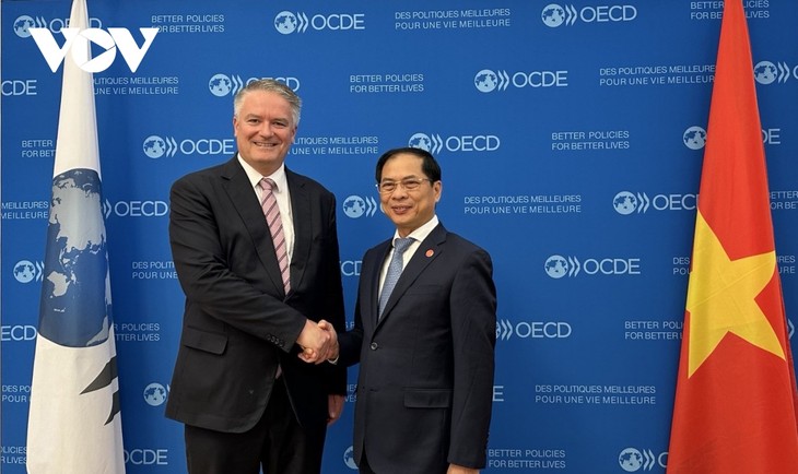 OECD will Vietnam bei der Erneuerung der Wachstumsmodelle begleiten - ảnh 1