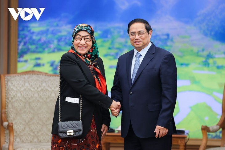 Premierminister Pham Minh Chinh empfängt die neue bruneiische Botschafterin in Vietnam - ảnh 1