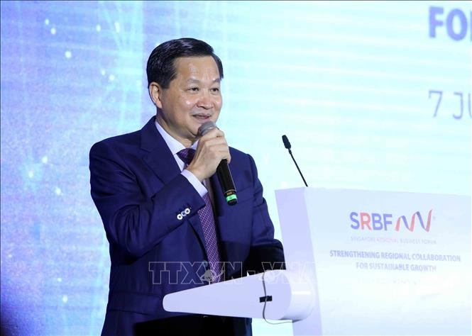 Verstärkung der Zusammenarbeit zwischen Vietnam und Singapur für die nachhaltige Entwicklung  - ảnh 1