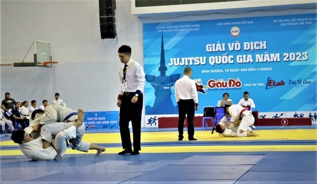 Über 300 Sportler nehmen an der nationalen Ju-Jitsu-Meisterschaft 2023 teil - ảnh 1