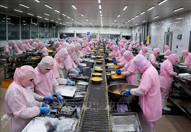 Vietnam erreicht einen Handelsüberschuss von fast 22 Milliarden US-Dollar  - ảnh 1