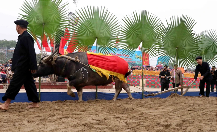 Das Long-Tong-Fest der Tay in der Provinz Tuyen Quang - ảnh 1