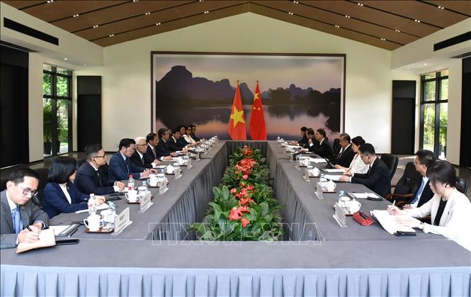 Außenminister Bui Thanh Son führt Gespräch mit seinem chinesischen Amtskollegen - ảnh 1