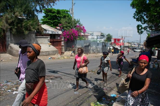 Die UNO warnt vor Erschöpfung der Lebensmittelvorräte für Haiti - ảnh 1