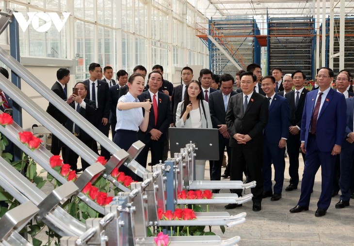 Parlamentspräsident Vuong Dinh Hue besucht einige Wirtschaftsmodelle in Yunnan  - ảnh 1