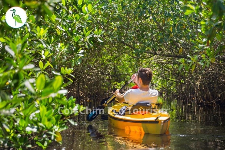 Das Con-Chim-Ökogebiet - die „grüne Insel” von Binh Dinh - ảnh 10