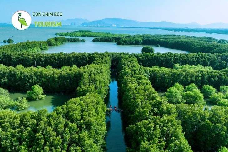 Das Con-Chim-Ökogebiet - die „grüne Insel” von Binh Dinh - ảnh 1