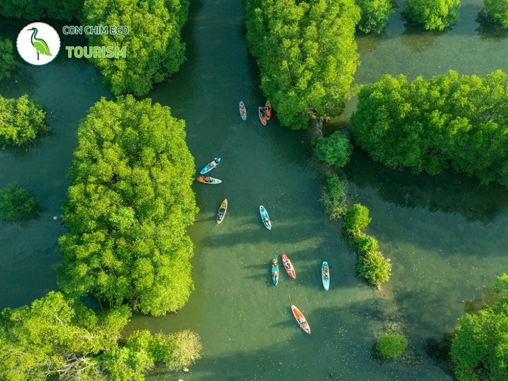 Das Con-Chim-Ökogebiet - die „grüne Insel” von Binh Dinh - ảnh 7