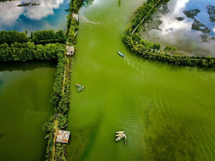 Das Con-Chim-Ökogebiet - die „grüne Insel” von Binh Dinh - ảnh 8