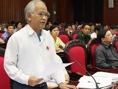 TP Hồ Chí Minh: đa số tán thành không tổ chức HĐND cấp quận, huyện, phường - ảnh 1