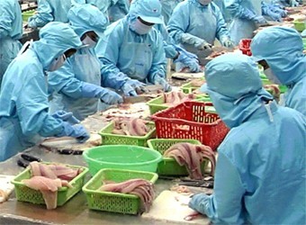 Sản phẩm cá da trơn của Việt Nam bị áp thuế cao phi lý tại Mỹ  - ảnh 3