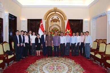 Tham khảo chính trị giữa Bộ Ngọai giao Việt Nam và Bộ Ngoại giao Singapore - ảnh 1