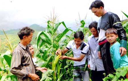 Việt Nam tập trung giảm nghèo bền vững - ảnh 3