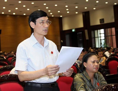 Đại biểu Quốc hội đề nghị bỏ quy định đăng ký giữ quốc tịch Việt Nam - ảnh 1