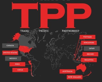 Tham gia TPP- những thách thức Việt Nam cần vượt qua - ảnh 1