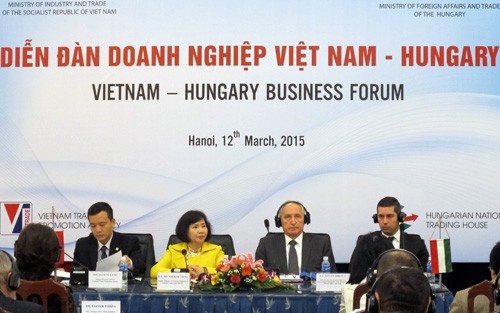 Việt Nam khuyến khích Hungary đầu tư vào công nghiệp và logistic - ảnh 1