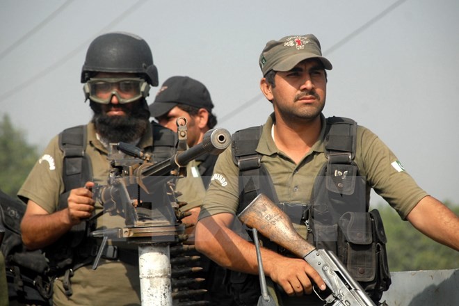 США выделили Пакистану $265 млн на борьбу с терроризмом - ảnh 1
