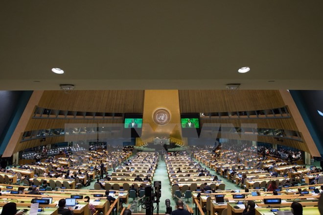 Генассамблея ООН избрала 15 новых членов Совета ООН по правам человека  - ảnh 1