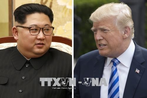 Трамп надеется на дальнейшие прорывы после встречи с Ким Чен Ыном - ảnh 1