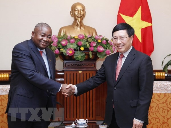 Вице-премьер, глава МИД Вьетнама Фам Бинь Минь принял посла Мозамбика - ảnh 1