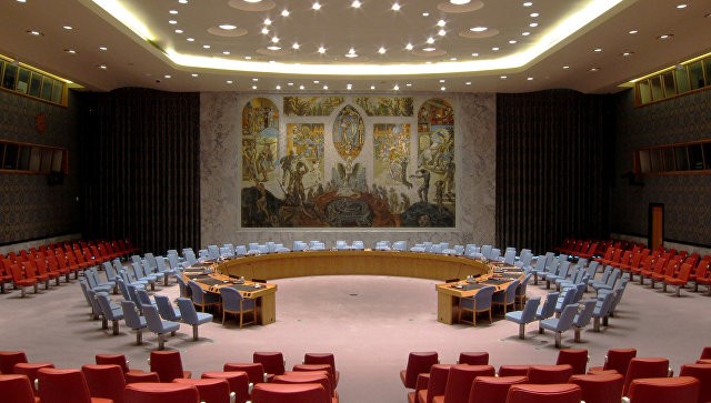 Россия предлагает провести открытое заседание Совбеза ООН по Сирии - ảnh 1
