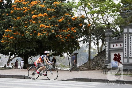 Езда на велосипеде – новый тренд вьетнамской молодежи - ảnh 2